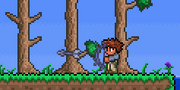 Demon Bow Shoot