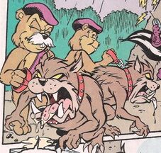 Tasmanian Devils