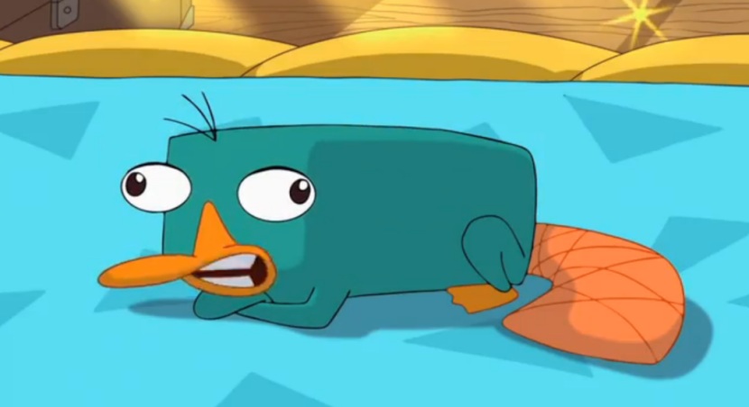Perry The Platypus Disney Wiki.