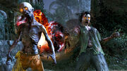 Annihilation-shangri-la-screen-02-large