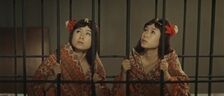Shobijin mothra