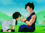 Videl 1