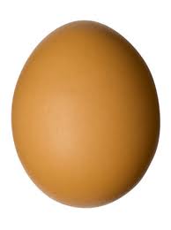 An egg