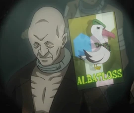 Albatross