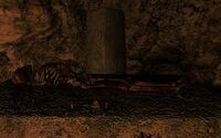 Night Mother's Crypt