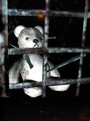 TeddyInPain1