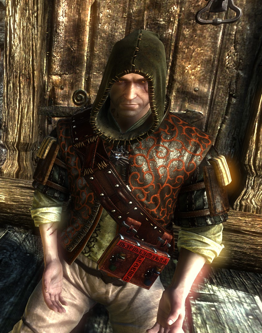 best witcher 2 mods