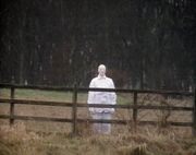 He's watching you