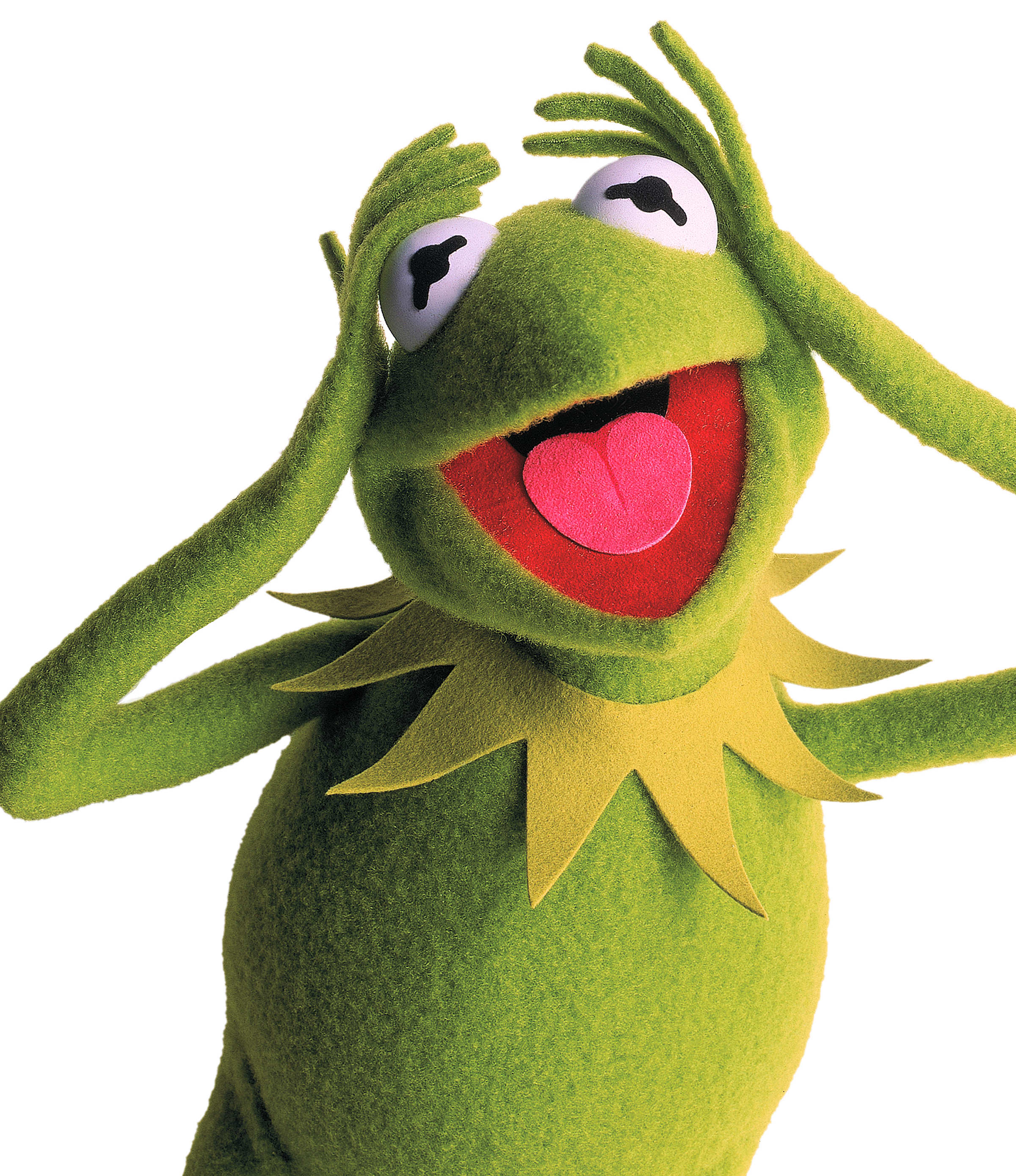 nuimos kermit