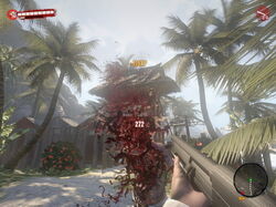 DeadIslandGame 2011-09-16 13-47-53-61
