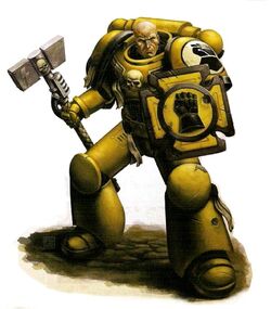 Imperial Fists Veteran Brother