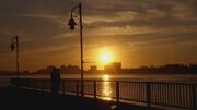 GellarTravisDock