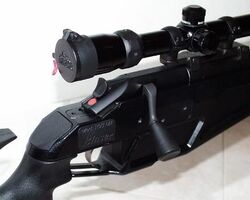 Blaser-side