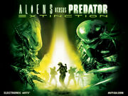 Avp wall1 lg1024