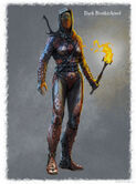 Dark Brotherhood Female Armor