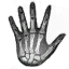 MW3 Emblem HandXray