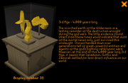 Display 31