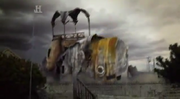 LUCYTHEELEPHANTCOLLAPSE