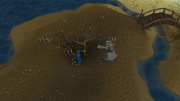 Lunar Diplomacy Safespot