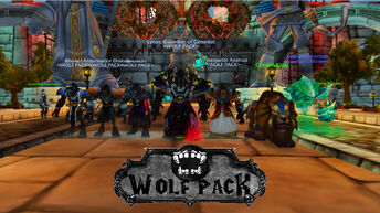Wolf pack group