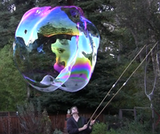 Edward a big bubble 20111124173254