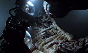 Derelict (LV-426), Xenopedia