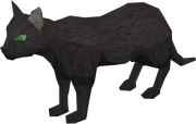 Bob the Cat