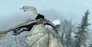 EldersbloodPeakDragon