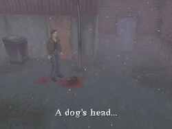 Doghead
