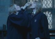 Fred y George 5
