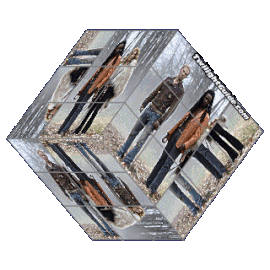 Vampires-twilight-cube