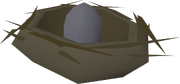 Bird's nest (raven egg) detail