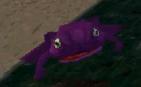 Giant Purple Toad