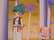 Bulma&Oolong(MushroomForest)