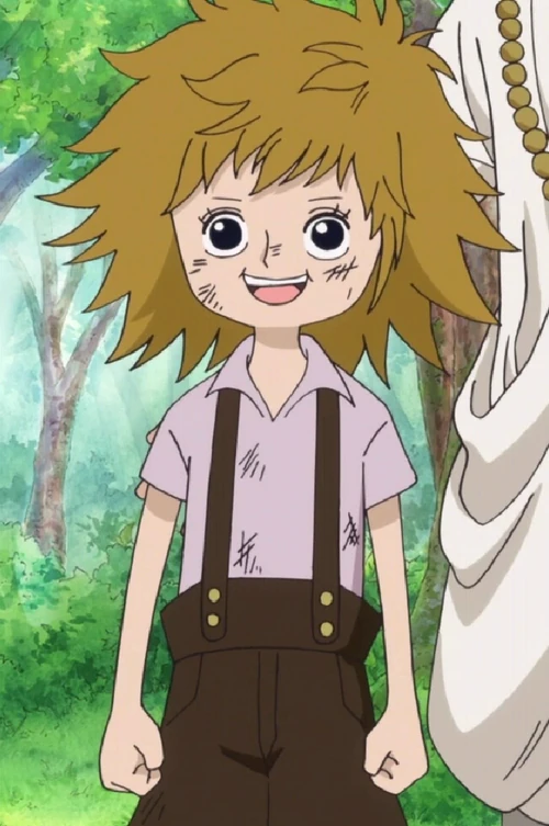 Koala One Piece Wiki