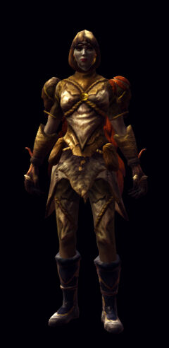 Elemental cloak armor set female