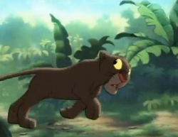 Baggyjunglecubs