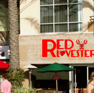 Red Lovester2