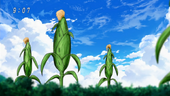 Small BB Corn Eps 20