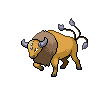 Tauros NB
