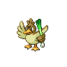 Farfetch'd NB
