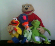 Sunshine and the muppets