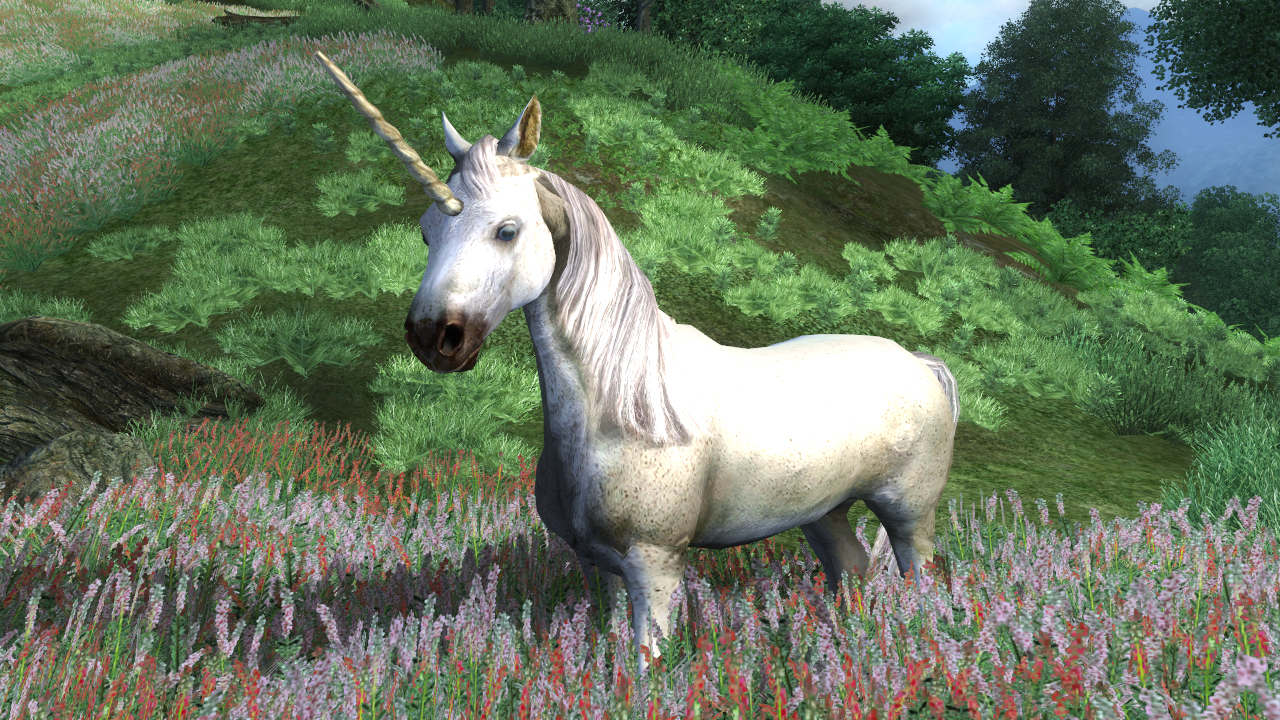 Dvoboj slika Unicorn