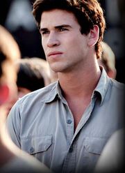 Gale at reaping closeup