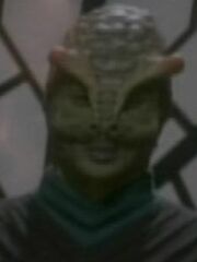 Romah Doek