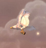 GreatWhitePlainshawk