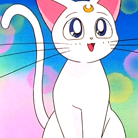 Artemis – Sailor Moon Wiki - Episoden, Charaktere, Orte und vieles mehr.