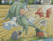 Chaos Knuckles