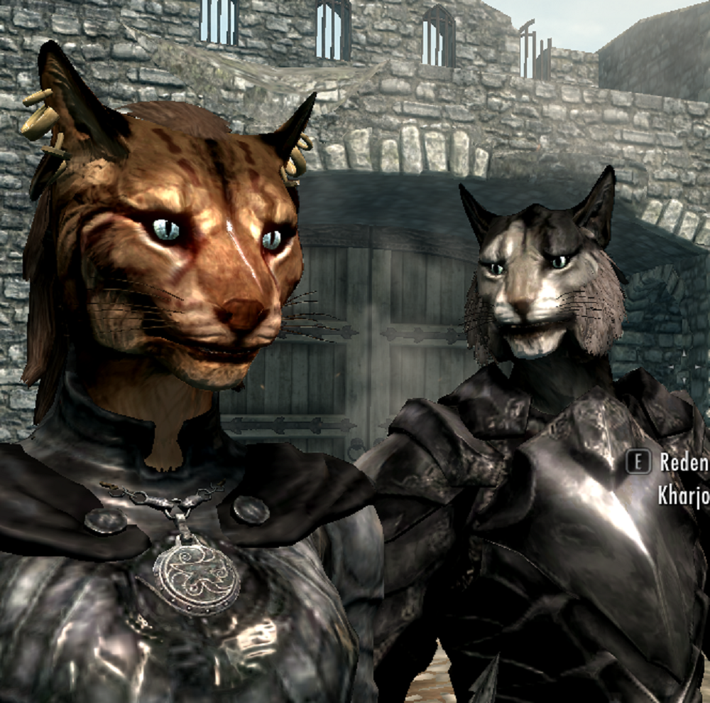 skyrim khajiit armor mod