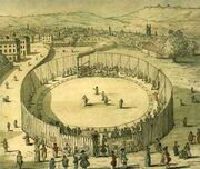 Trevithick's steam circus